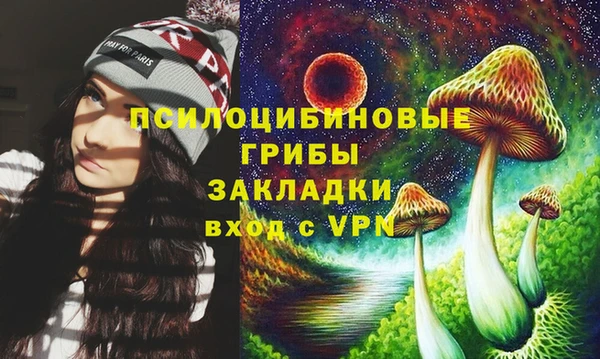 мескалин Покачи