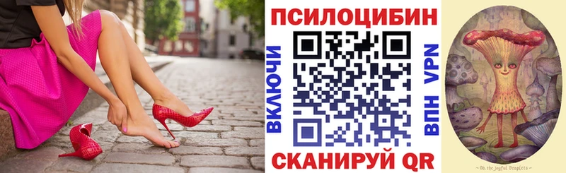 Галлюциногенные грибы мицелий  Купить закладки  Алексеевка 